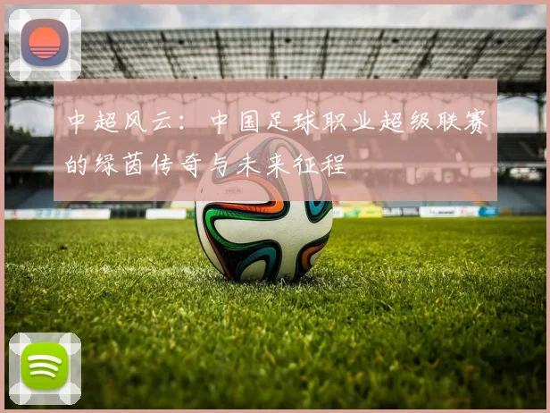中超风云:中国足球职业超级联赛的绿茵传奇与未来征程