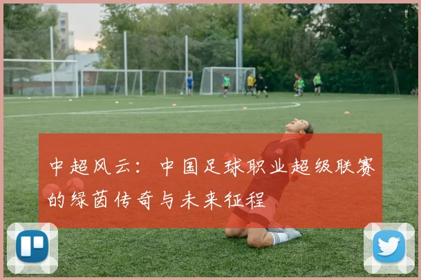 中超风云:中国足球职业超级联赛的绿茵传奇与未来征程